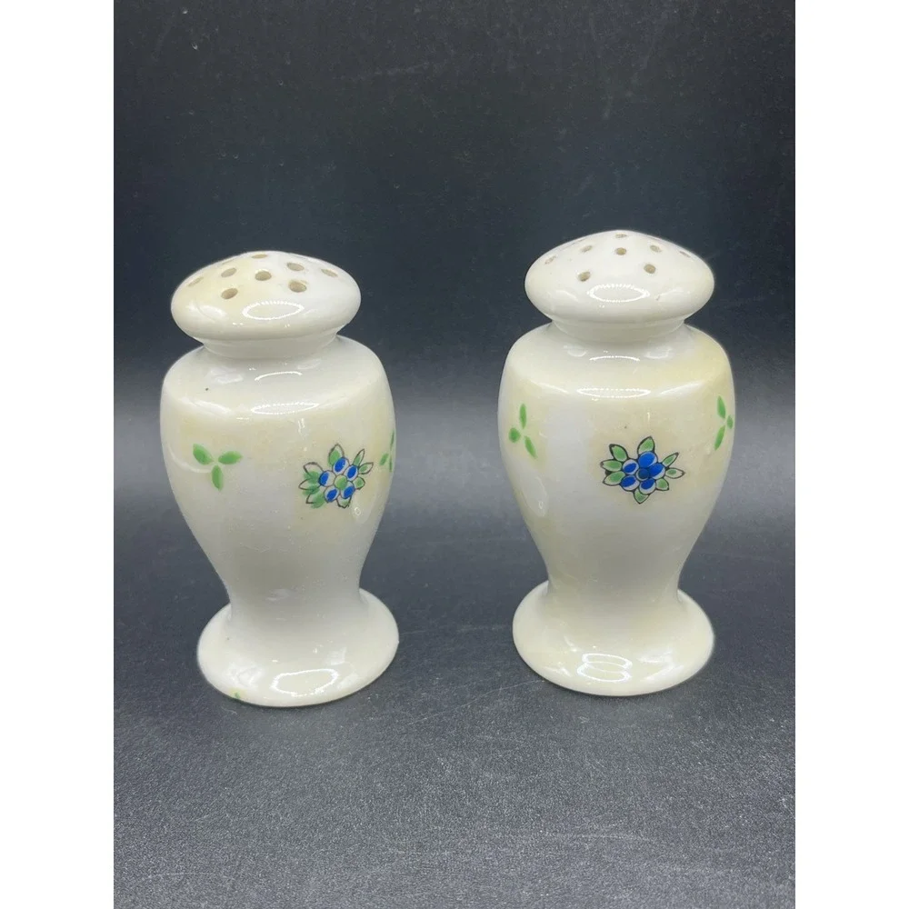 Vtg White Orange Flower Green Leaves Salt & Pepper Shakers‎ 3